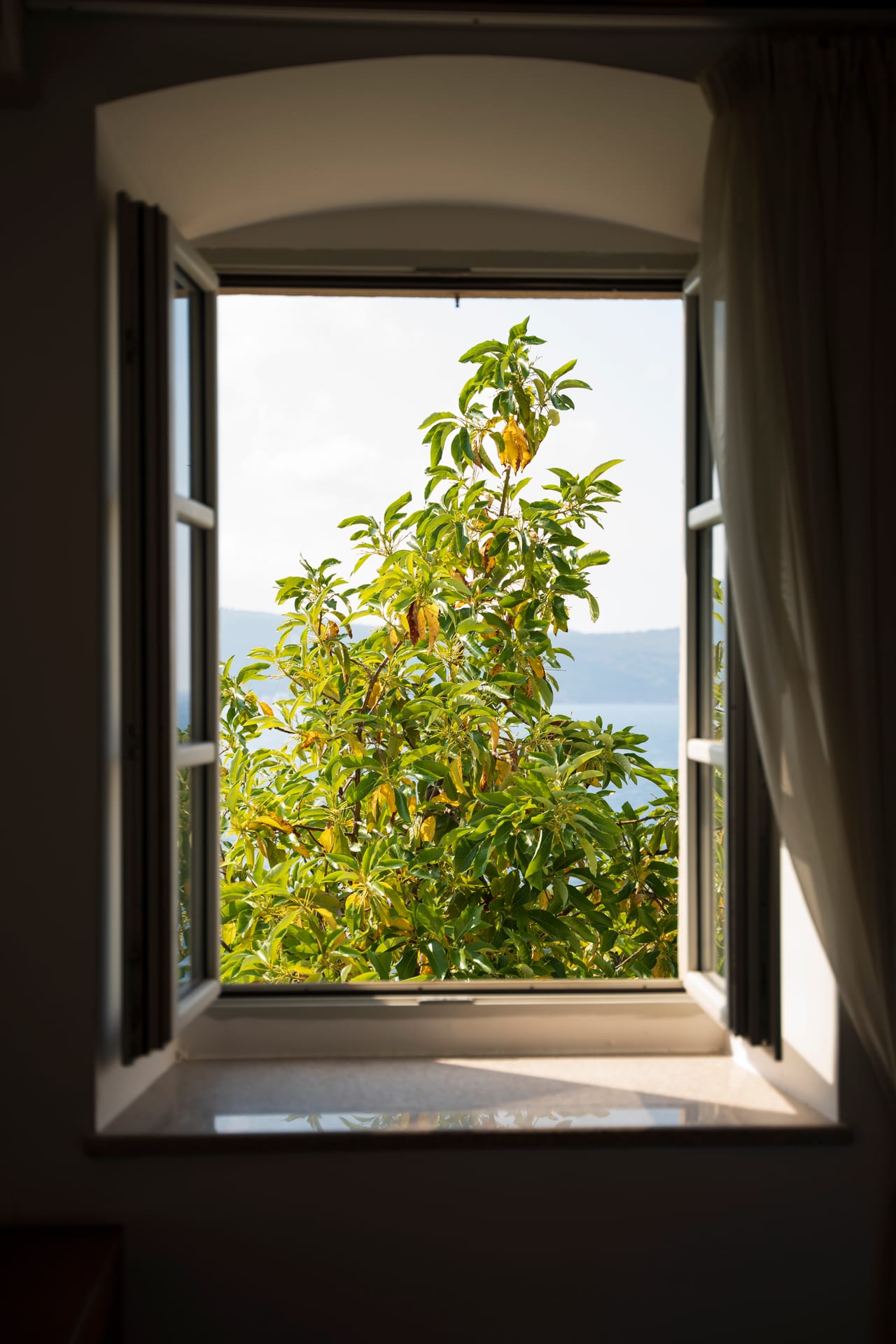 Bonaca interior — photo 10